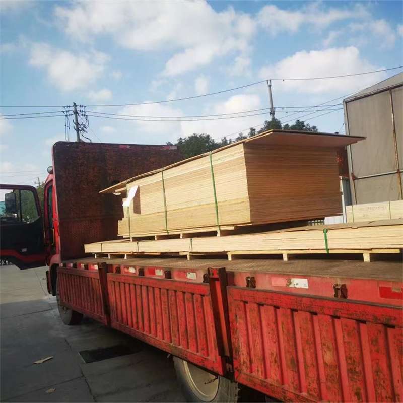 福建漳州长泰县至塔城货运专线，一站式物流服务助您成功